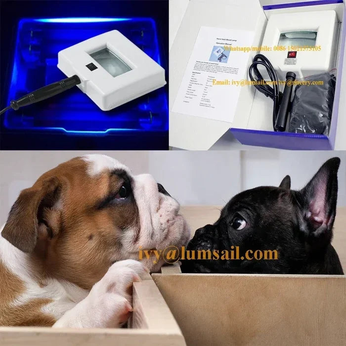2025/Animal   wood's lamp veterinary wood lamp