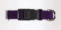 Amethyst Quick Release Collar
