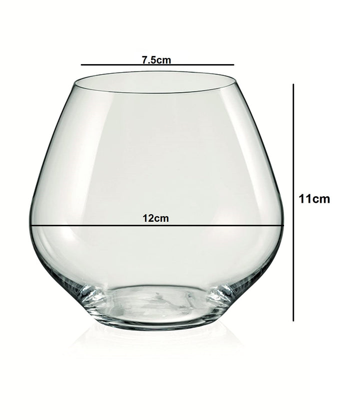Dimensions of Sophisticated wine glasses perfect for elegant occasions