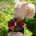 Doggie Harness, Dog Harness, Harness for Small Dogs, Luxury Dog harness, Designer Dog Harness,  Dog harness for small dogs, Harness for Small Dogs, Susan Lanci Tinkie Harness, Tinkie harness