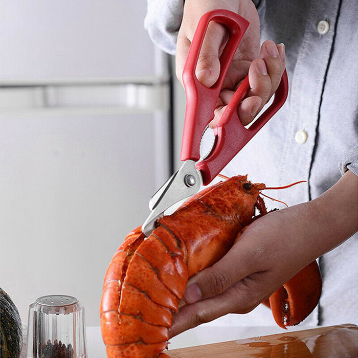 Avanti Seafood Shears - Red