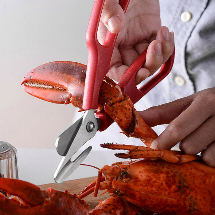 Avanti Seafood Shears - Red