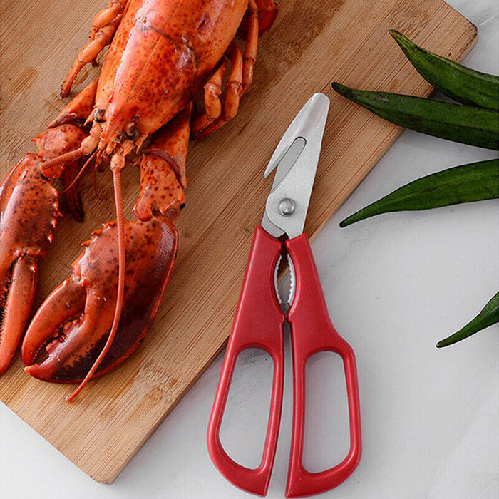 Avanti Seafood Shears - Red
