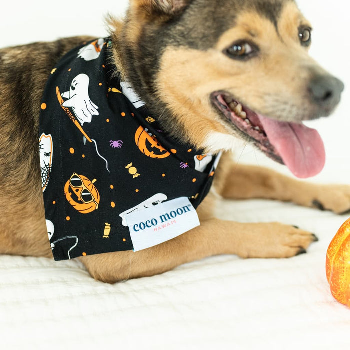 Beachside Boo Bash Bamboo Pet Bandana