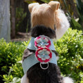 dog harness, doggie harness, harness for small dogs, small dog harness, luxury dog harness, designer dog harness, Susan Lanci Tinkie harnes