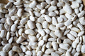 California Corona Bean - Rancho Gordo
