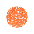 Costa Nova Rafaela Dinner Plate - Tangerine