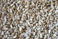 Dirty Cassoulet Bean - Rancho Gordo