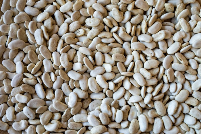 Dirty Cassoulet Bean - Rancho Gordo