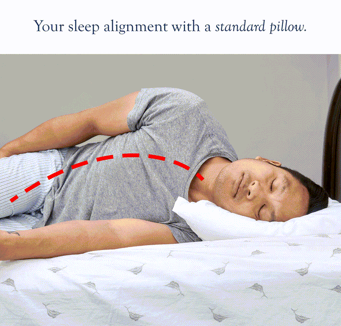Dosaze Contoured Orthopedic Pillow + Travel Pillow