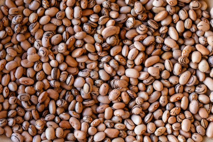 Eye of the Goat (Ojo de Cabra) Bean - Rancho Gordo