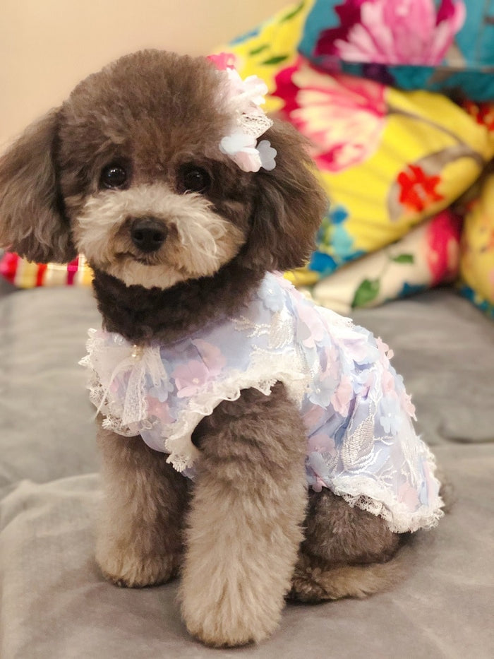 'Fairies Love Lace Too!'  Doggie Dress
