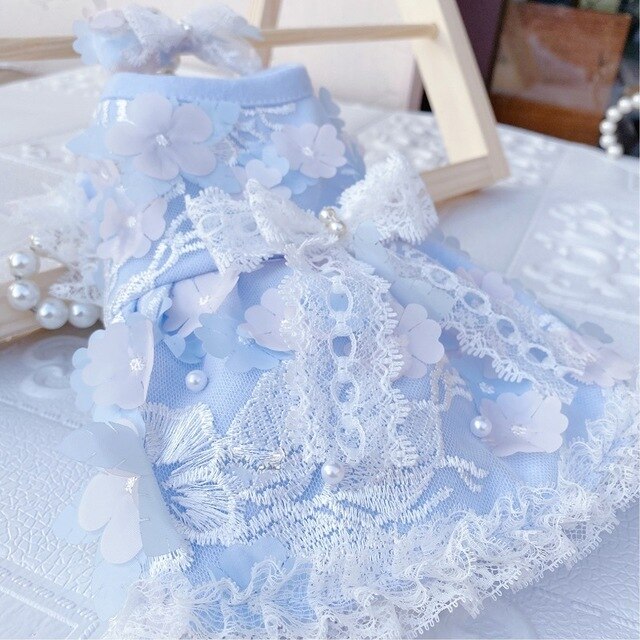 Blue / XS