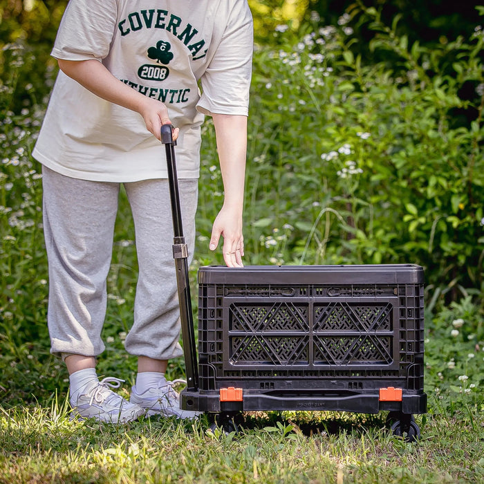 Folding Cart - BIGANT