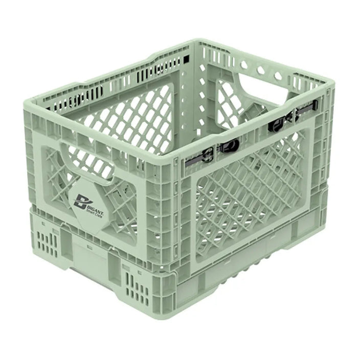 Folding Crate - BIGANT