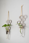 Honeycomb Hanging Planter - Small