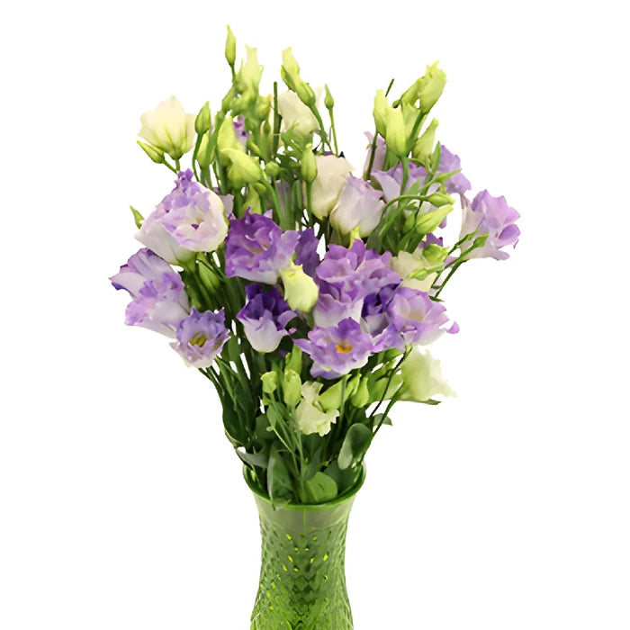 Hues of Lavender Lisianthus Flower