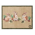 Hug Rug Allotment Bunnies
