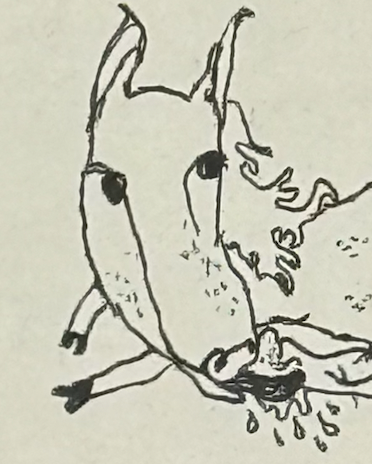 L'équitation