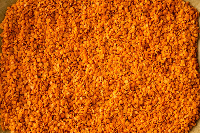 closeup of dried red lentils