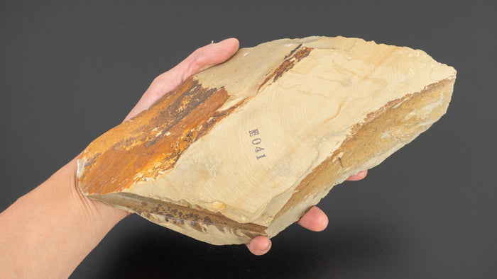 Morihei Wakasa Natural Stone Large Koppa (No.041) | HITOHIRA