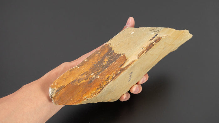 Morihei Wakasa Natural Stone Large Koppa (No.041) | HITOHIRA