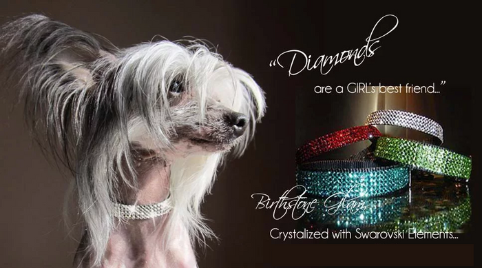 November Birthstone Collar - Topaz
