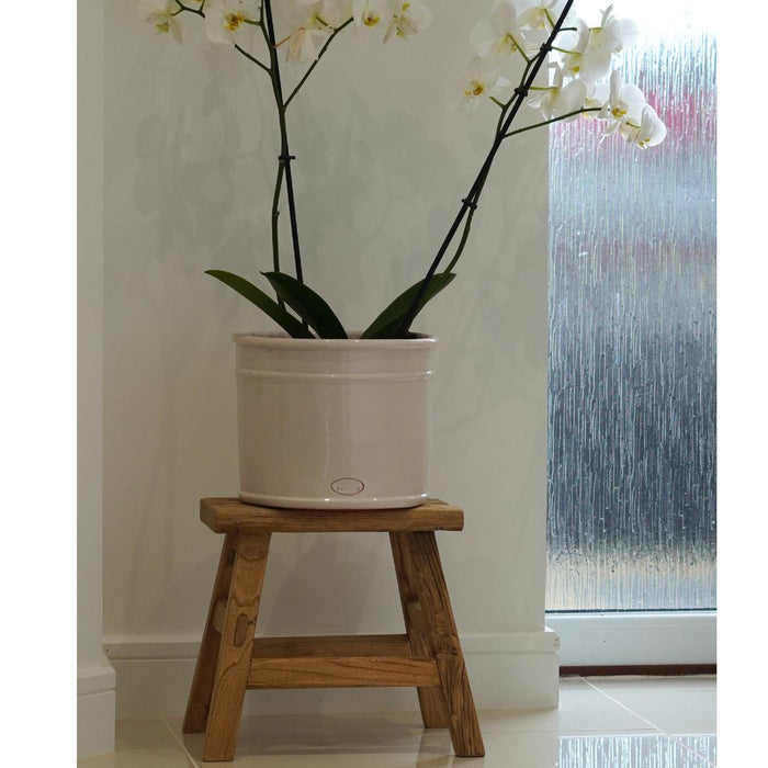 Old Barn Rustic Elm Step Up Stool - 30cm -