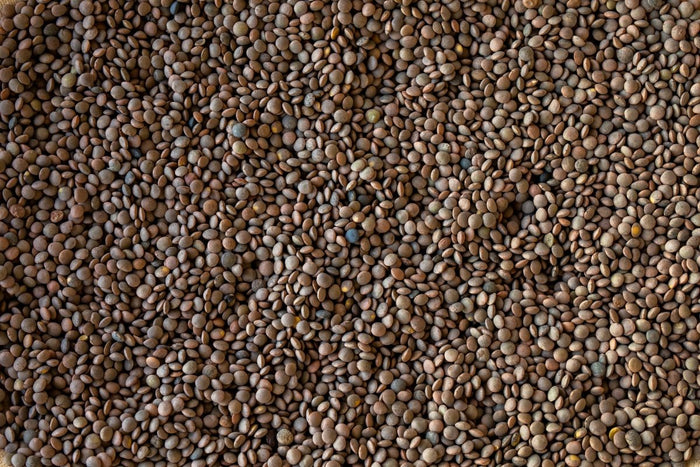 Pardina Lentil - Rancho Gordo