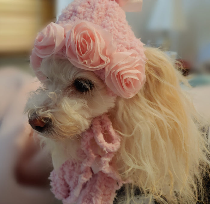 Pink Roses Hat and Scarf Set