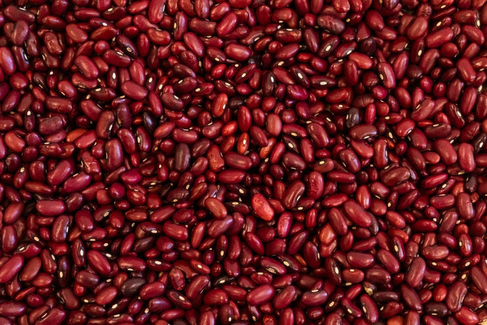 Rojo de Suelo Bean - Rancho Gordo