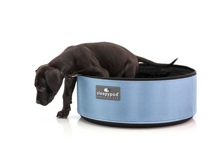Sleep. Play. Go!  Sleepypod Car Seat