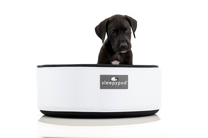 Sleep. Play. Go!  Sleepypod Car Seat