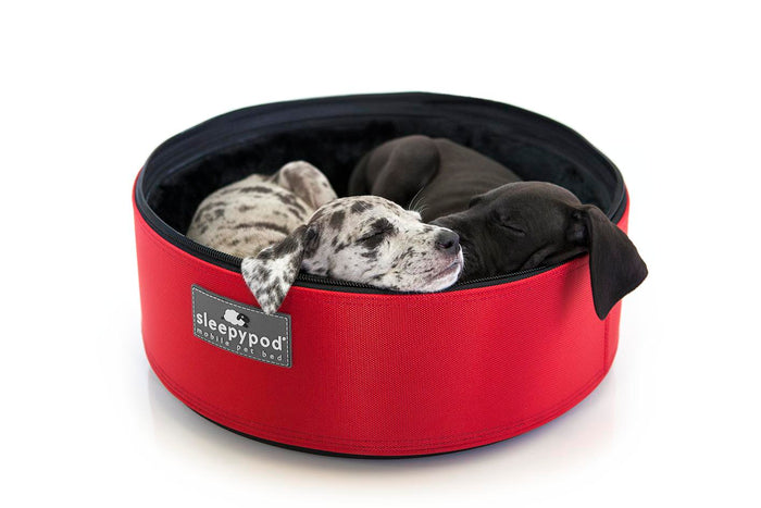 Sleep. Play. Go!  Sleepypod Car Seat