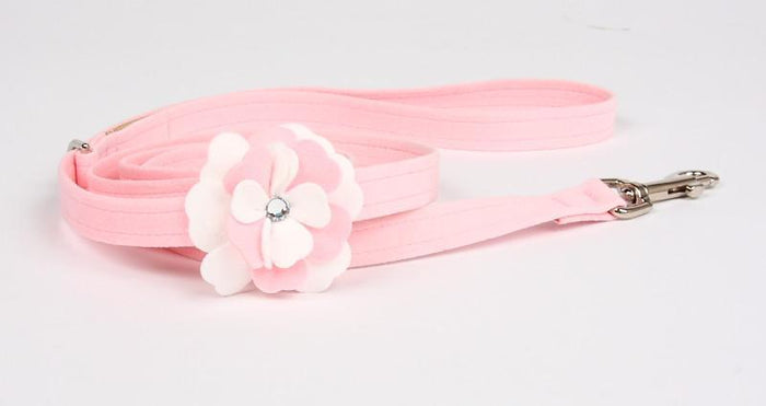 Special Occasion Leash