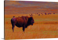 Sunrise Watch Canvas Print
