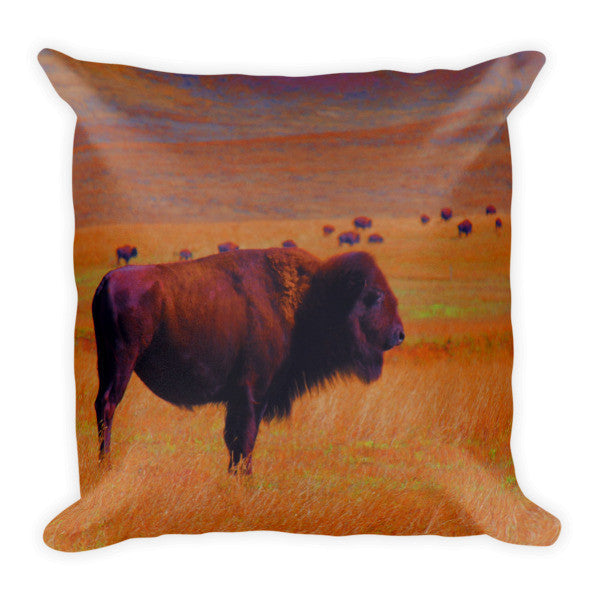 Sunrise Watch Throw Pillow