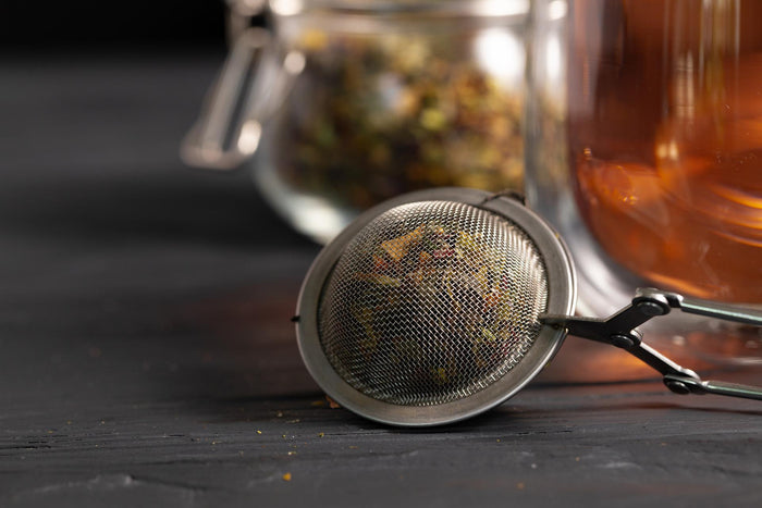 Teaology Stainless Steel Mesh Spring Tea Infuser - 15.5cm