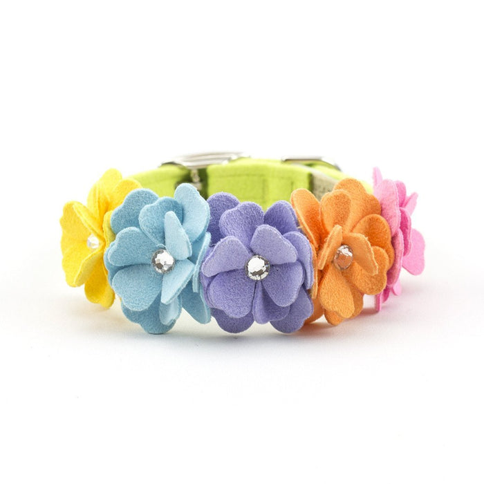 Tinkie's Rainbow 1/2 inch Collar