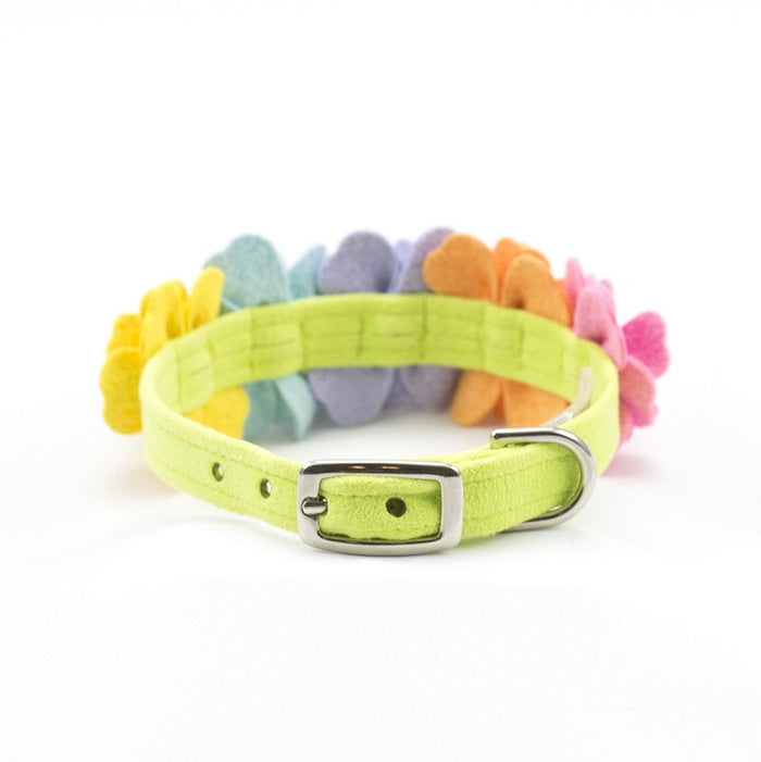 Tinkie's Rainbow 1/2 inch Collar