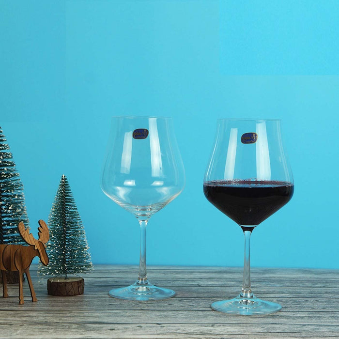 Elegant wine glass with tulip-inspired design