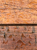 UV Protection & Water Proofing -