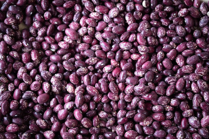 Whipple Bean - Rancho Gordo