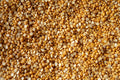 Yellow Split Pea - Rancho Gordo