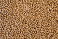 Zipper Cream Field Pea - Rancho Gordo